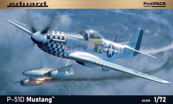 P51D-10  Mustang  70173