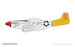 P51D-10  Mustang  70173