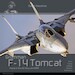 F14 Tomcat Flying with US Navy and IRIAF (Expected 15 November 2024) 037