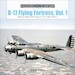 B-17 Flying Fortress, Vol. 1 : Boeing's Model 299 through B-17D in World War II 